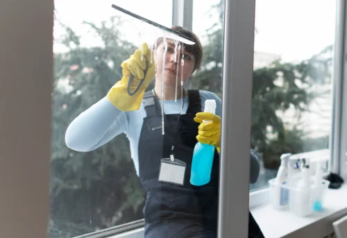 Nettoyage de vitres intérieures et extérieures à Lacenas
